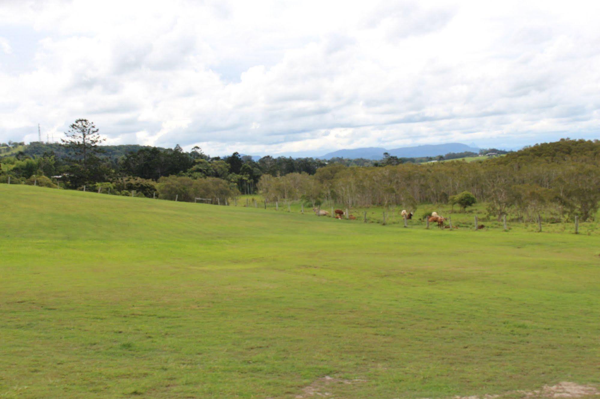 Villa Cape Byron Retreat (Adults Only) Byron Bay Exterior foto