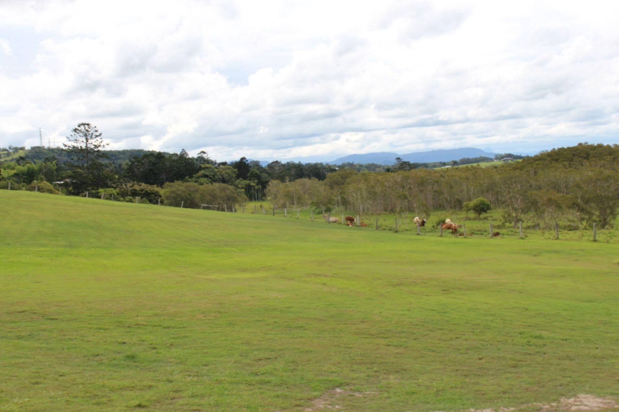 Cape Byron Retreat (Adults Only) Villa Byron Bay Exterior foto